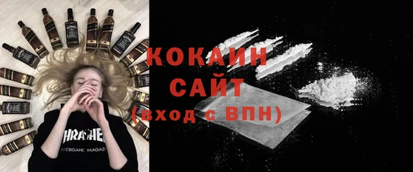 дживик Елабуга