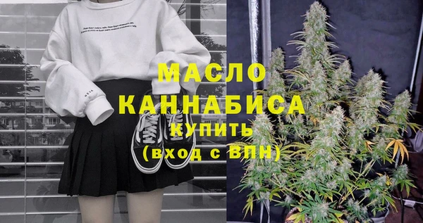 дживик Елабуга