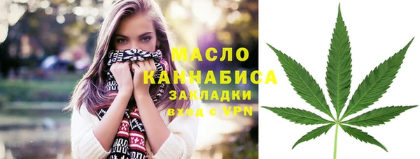 дживик Елабуга