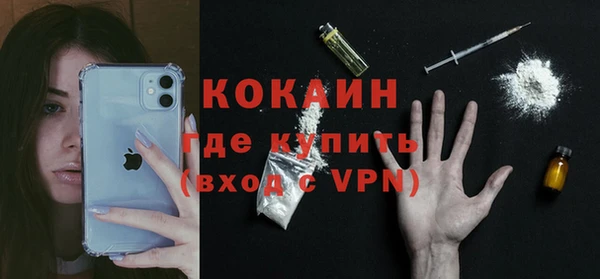 дурь Ельня