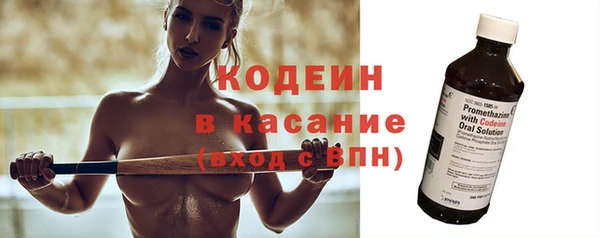 дурь Ельня