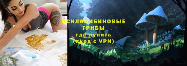 2c-b Елизово