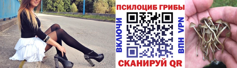 Галлюциногенные грибы прущие грибы  omg зеркало  Сертолово 