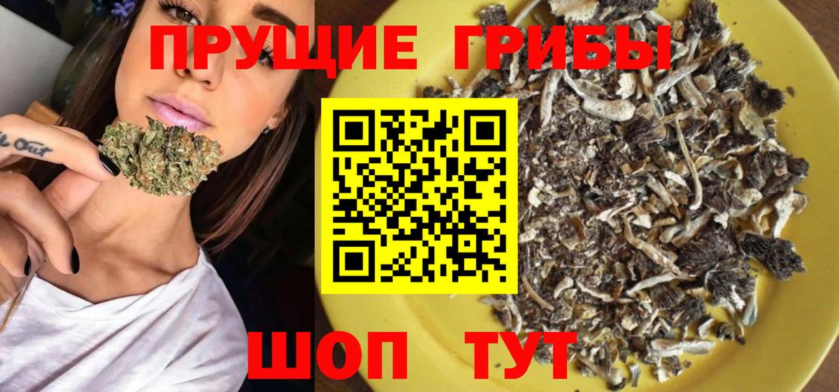 Сертолово  купить наркоту  Вход с VPN  Галлюциногенные грибы Magic Shrooms 