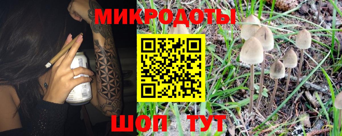 Галлюциногенные грибы прущие грибы Сертолово